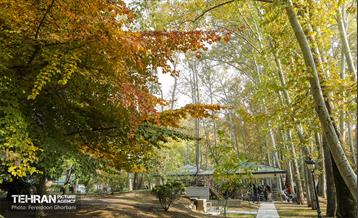 سمفونی رنگ های پاییزی - کاخ سعدآباد 11