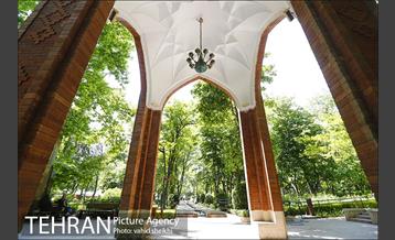 باغ ایرانی 16