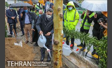 آئین کاشت درخت زندگی 23