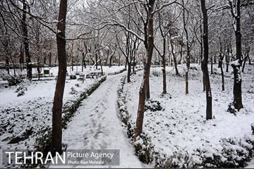 بارش برف زمستانی در تهران 34