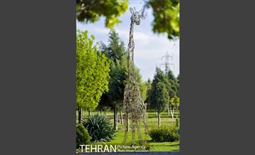 بوستان بازیافت 22