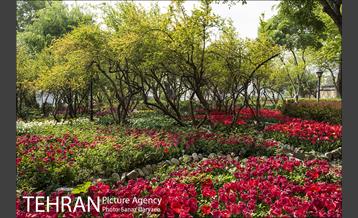 بوستان باغ ایرانی 4