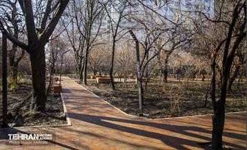 باغ گلاریس 39