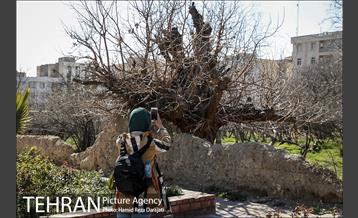 تور عکاسی پروژه های منطقه 5