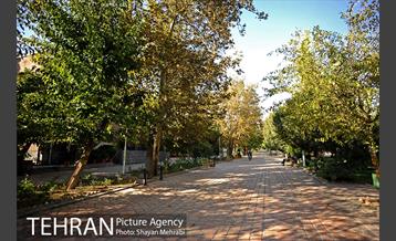 بوستان هنرمندان (ایرانشهر) 6