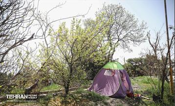 روز طبیعت در پارک جنگلی لویزان 43