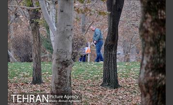 مسابقه پیاده روی و جهت یابی در پارک ملت 21