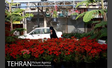 نمایشگاه گل و گیاه نوروزی در پیاده راه ۱۷ شهریور
