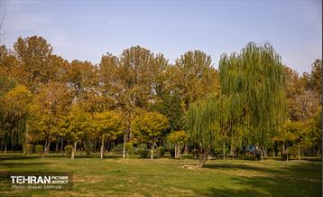 سمفونی رنگ های پاییزی - پارک لاله 12