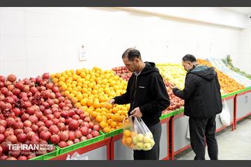 آیین افتتاحیه ۵ بازار میوه و تره‌بار 12