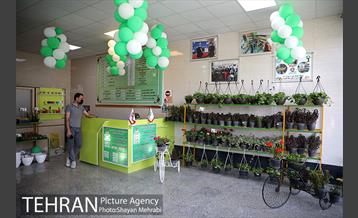 طرح گلماند در منطقه 18