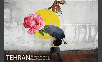 بارش باران بهاری در تهران  4