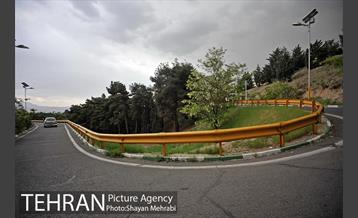 پارک جنگلی لویزان‎ 35