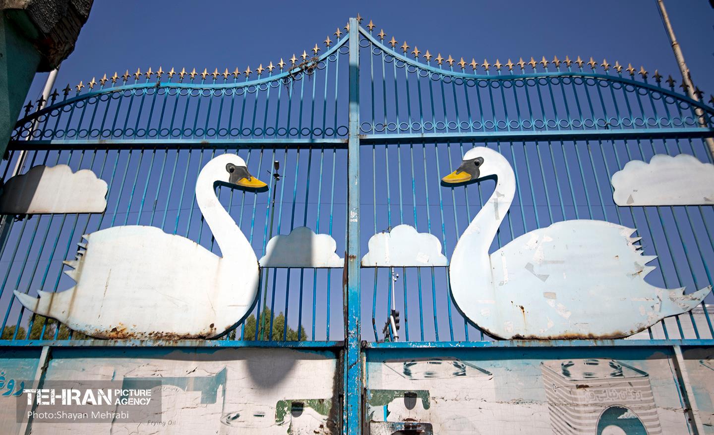 کارخانه روغن نباتی قو 2