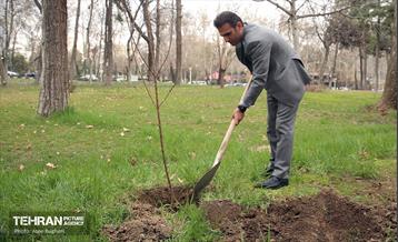 کاشت درخت توسط هنرمندان در فرهنگسرای نیاوران 9