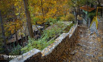 سمفونی رنگ های پاییزی - دربند 22