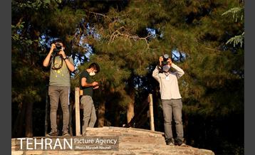 تور عکاسی منطقه گردشگری عباس آباد  12