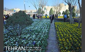 برنامه «گل آمد، بهار آمد» در بوستان زندگی  24