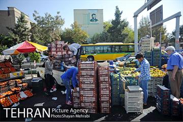 میوه فروشان خیابانی 12