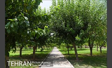 بوستان پردیس بانوان 17