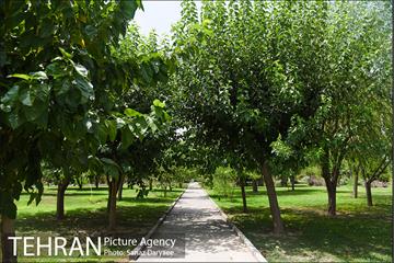 بوستان پردیس بانوان 17