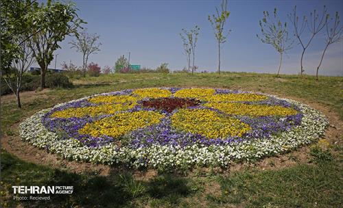 هوای بهاری منطقه 5 40