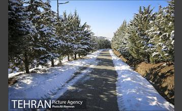 طبیعت برفی تلو 1