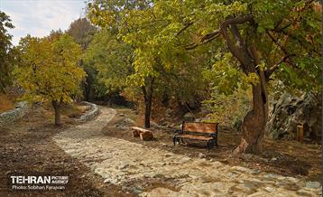 ­اکوپارک رود دره فرحزاد 62