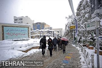 بارش برف در تجریش 1