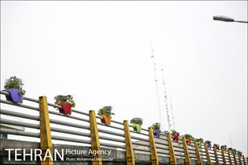 استقبال از بهار در خیابانهای تهران 28