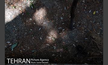 فیلتر سیگار زباله است 12