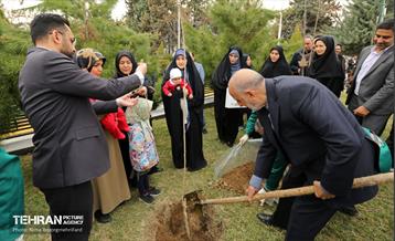 دومین پویش نفس‌های تازه شهر 34