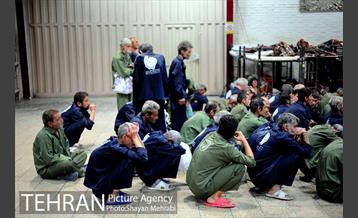 گرمخانه ها، دور از سرما 32