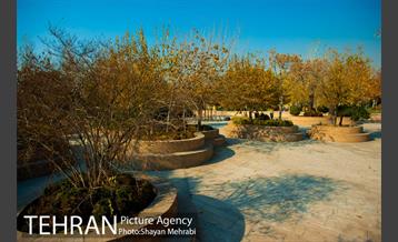 پاییز باغ موزه قصر 23