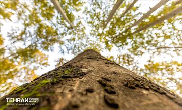 رود دره فرحزاد 3