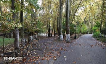 طبیعت پاییزی مجموعه فرهنگی تاریخی سعدآباد  43