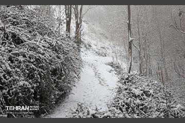بارش برف زمستانی در تهران 22