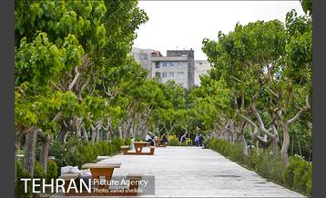 بوستان پلیس 14