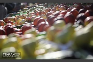 افتتاح ۲ بازار میوه و تره‌بار در تهران 33