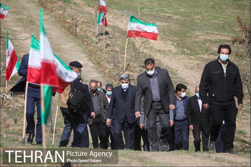 مراسم درختکاری در بوستان پردیسان 3