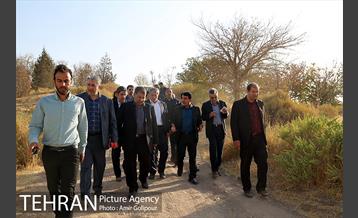 بازدید رئیس شورای شهر تهران از بوستان جنگلی چیتگر 8