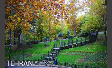 پاییز در بوستان ملت 17
