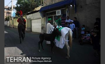 حرکت نمادین کاروان اُسرای کربلا در ده ونک 5