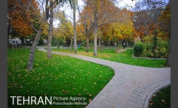 پاییز در بوستان ملت 9
