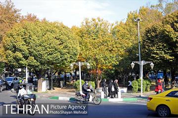 طبیعت پاییزی بلوار کشاورز 4