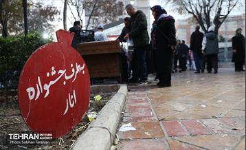 دوازدهمین جشنواره انار  13