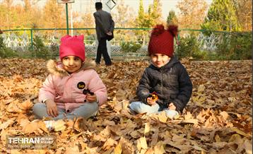 گذرگاه های پاییزی پایتخت - منطقه 13