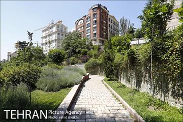 بوستان تندرستی 14