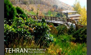 آبشار رنگارنگ 32