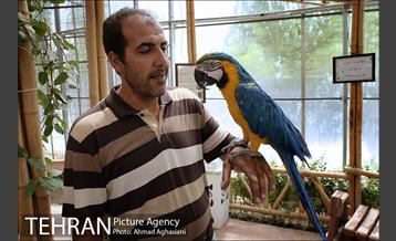 باغ پرندگان تهران 4